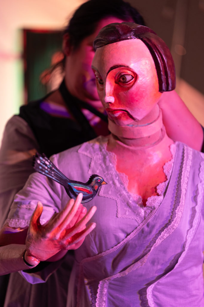 aflordapele try www.marionetasmandragora.pt 220